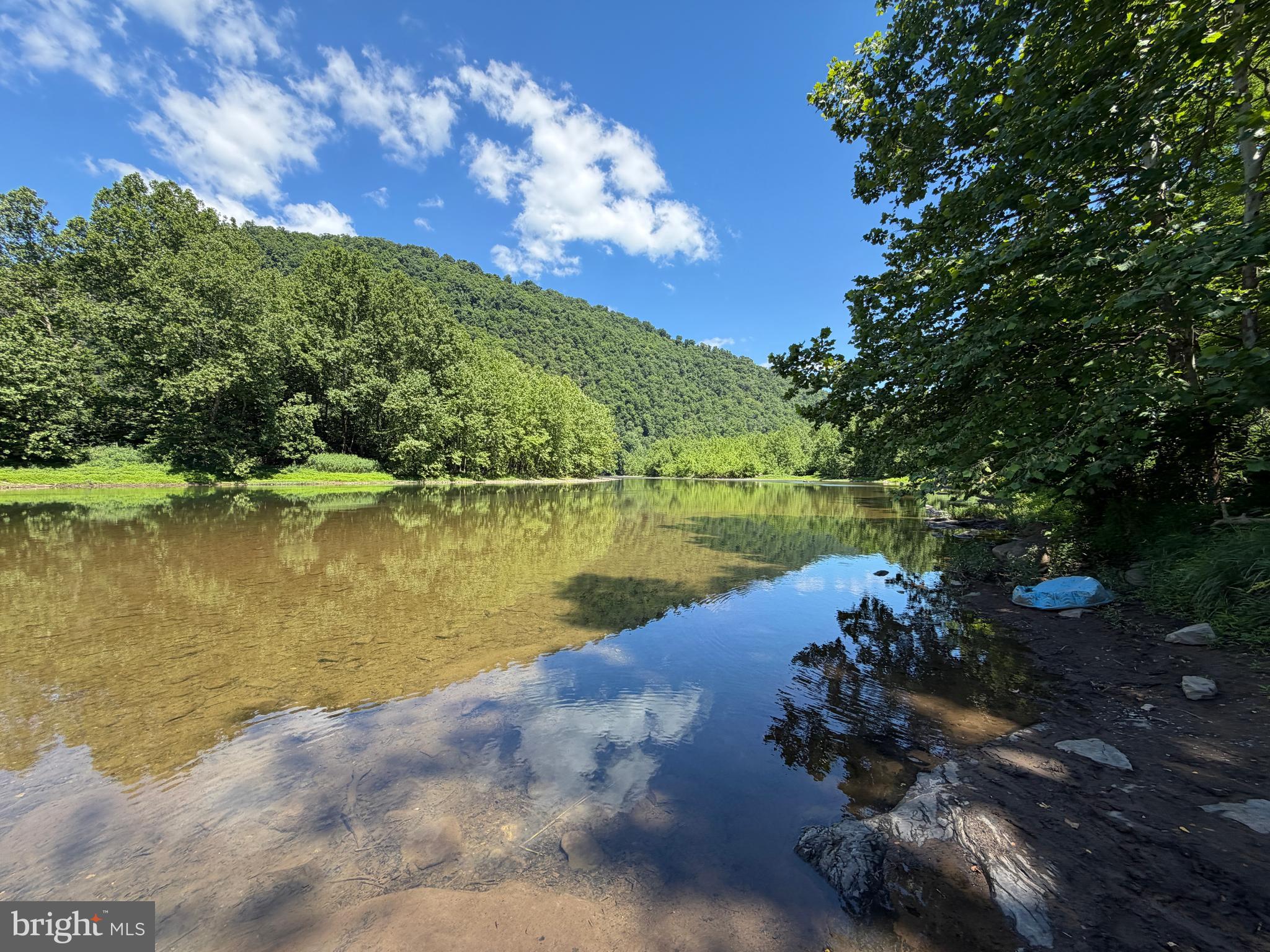 5982 South Branch Mountain Road Moorefield, WV 26836 - Photo 79 of 141
