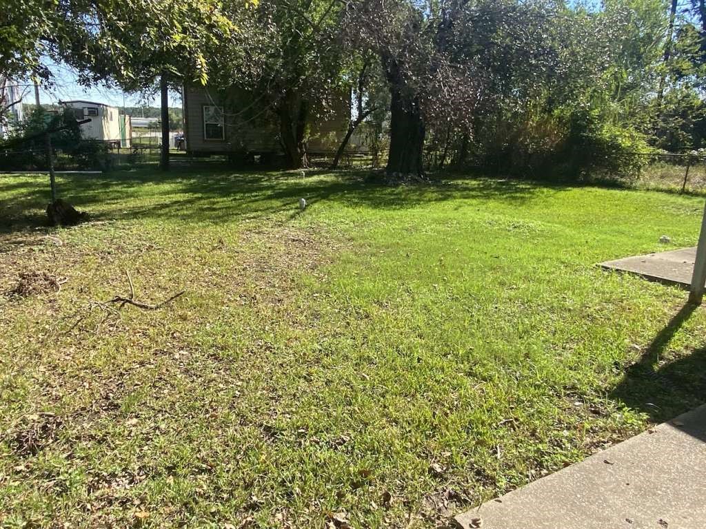 5131 Nassau Road Houston, TX 77021 - Photo 14 of 14 a view of a backyard with large trees