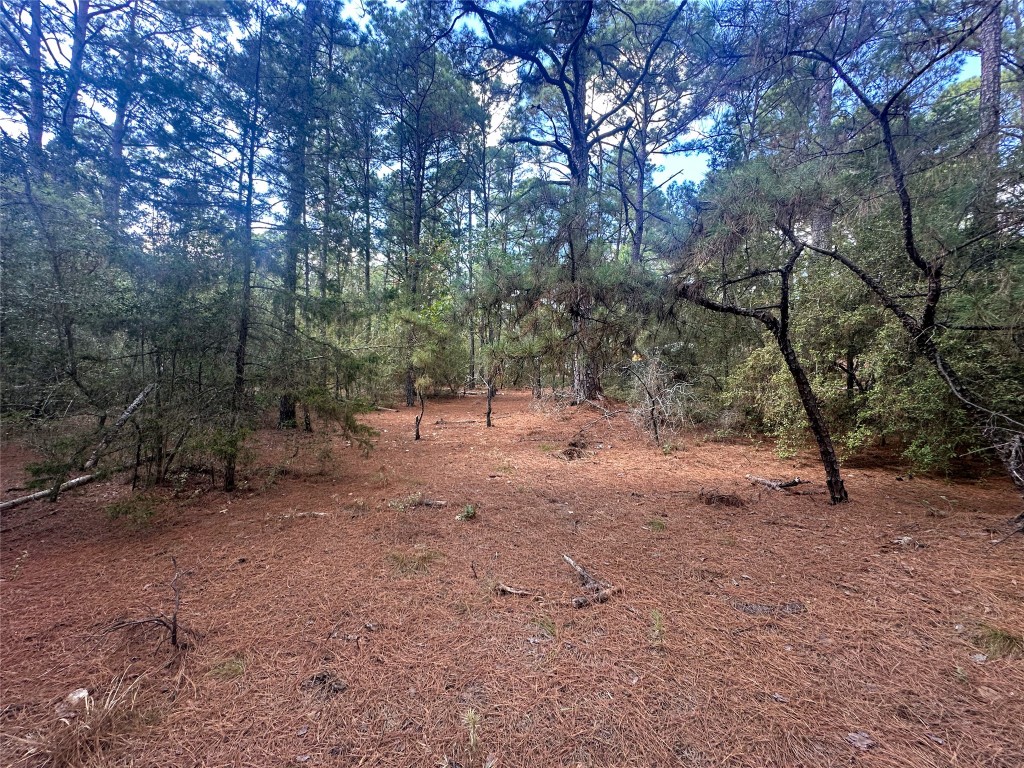 Lot 85 Hill Ridge Drive Bastrop, TX 78602 - Photo 14 of 15 a view of a forest with trees in the background