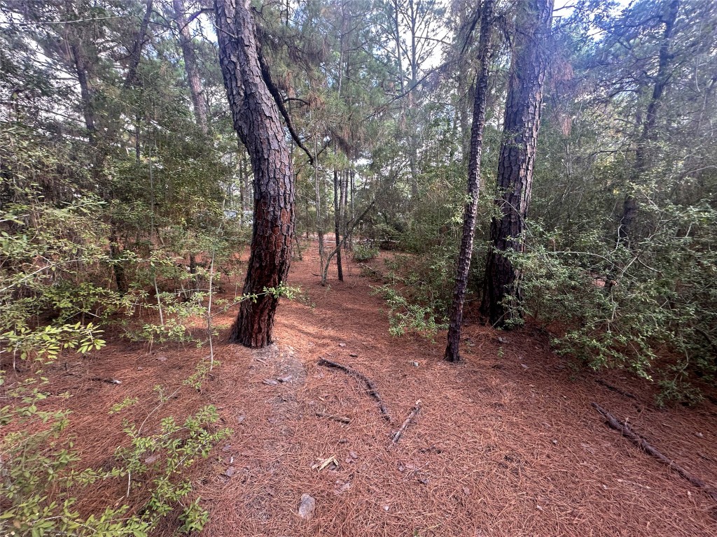 Lot 85 Hill Ridge Drive Bastrop, TX 78602 - Photo 15 of 15 a view of a forest with trees in the background