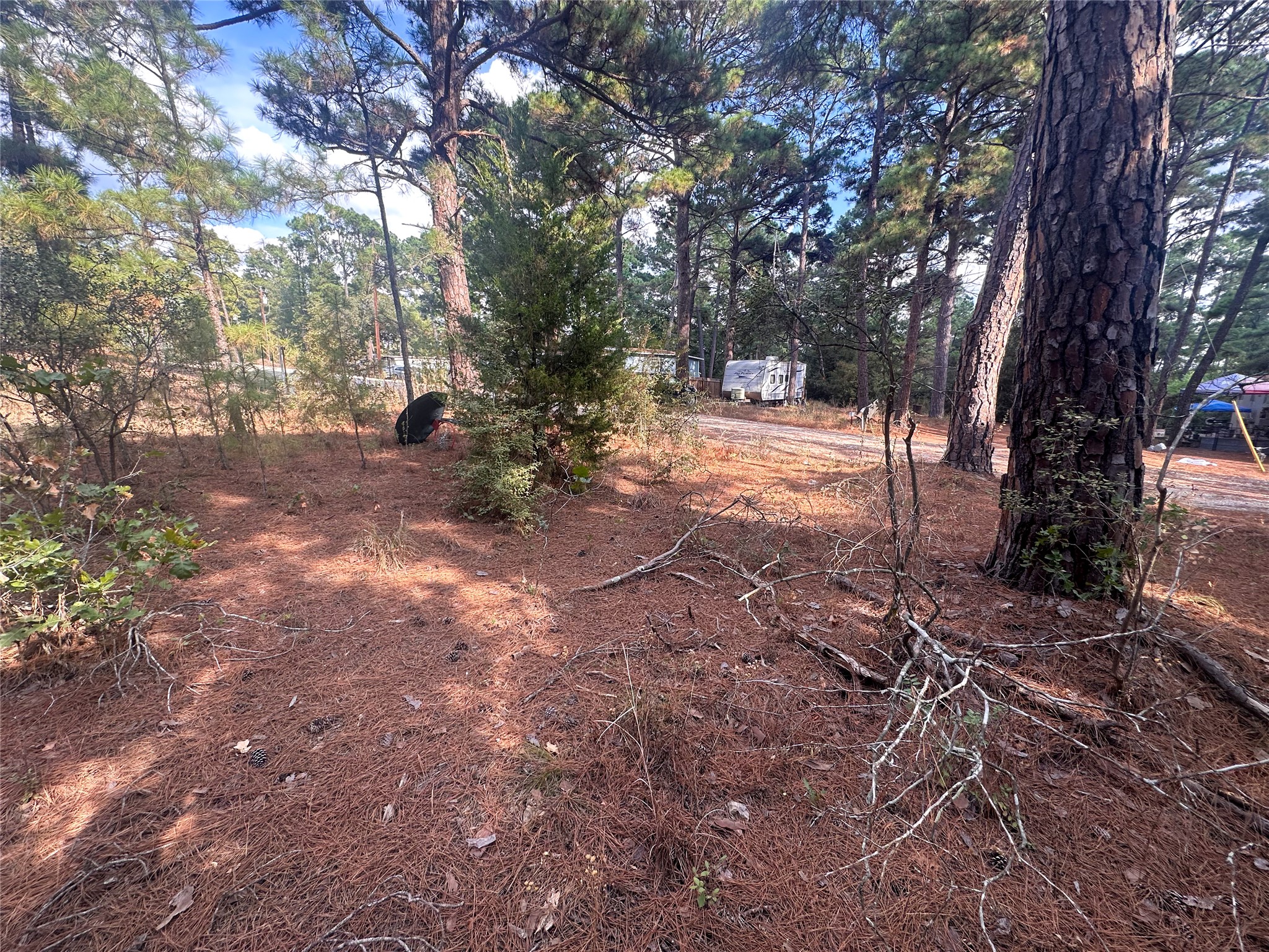 Lot 85 Hill Ridge Drive Bastrop, TX 78602 - Photo 5 of 15 a view of outdoor space with trees