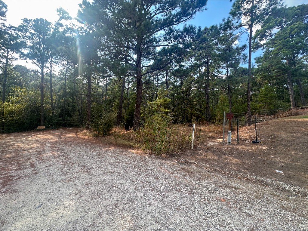 Lot 85 Hill Ridge Drive Bastrop, TX 78602 - Photo 7 of 15 a view of a forest with trees in the background