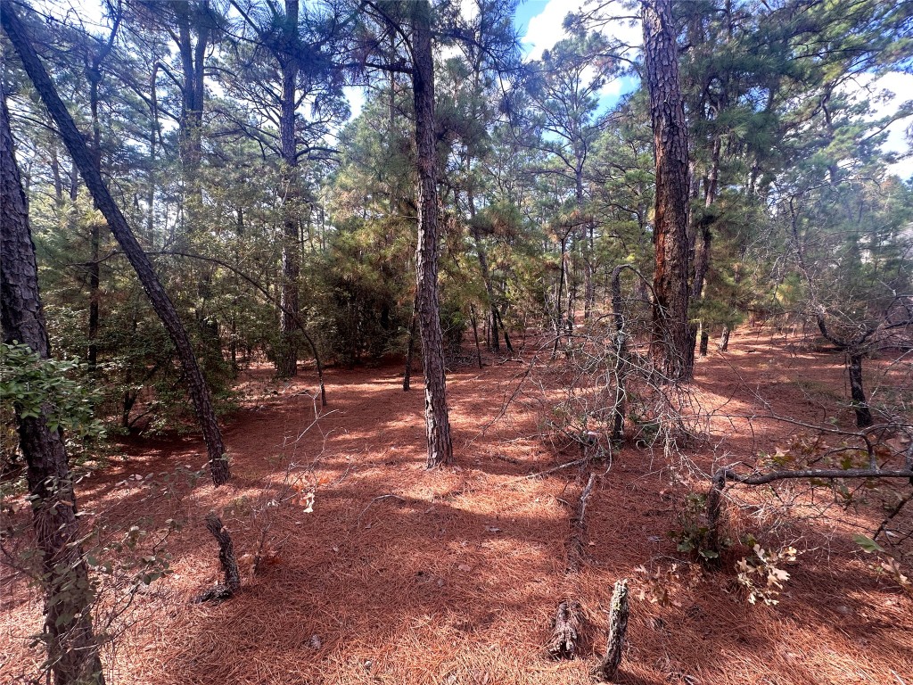 Lot 85 Hill Ridge Drive Bastrop, TX 78602 - Photo 10 of 15 a view of outdoor space with trees