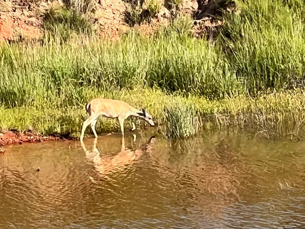 a view of a lake view