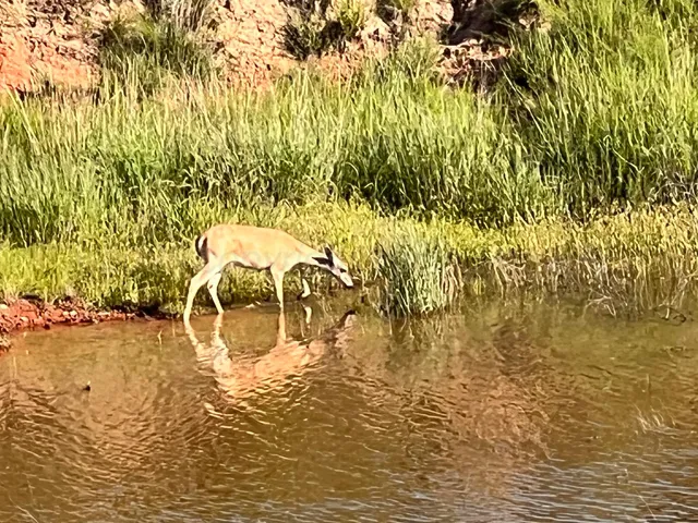 a view of a lake view