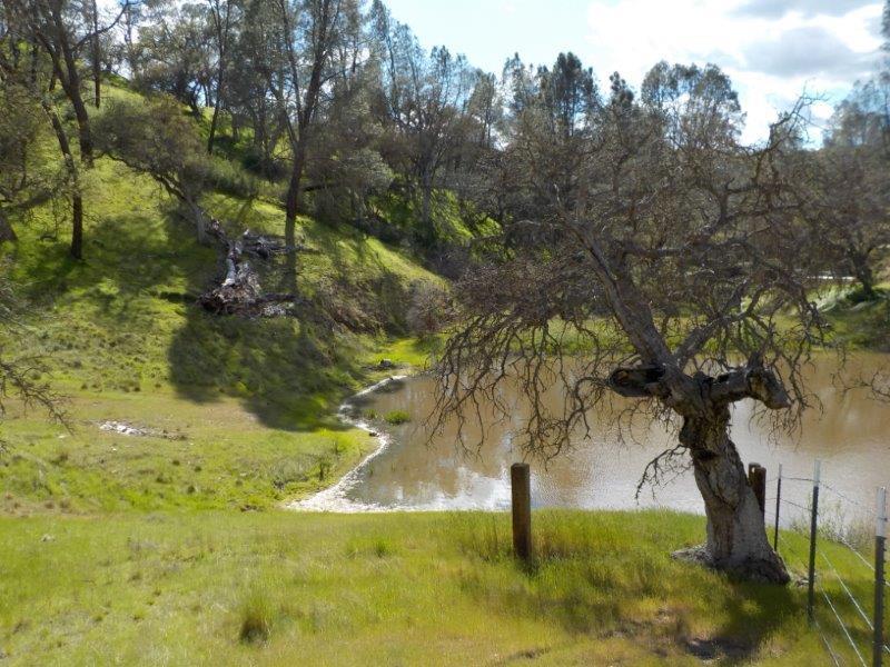 Lot D Panoche Road Paicines, CA 95043 - Photo 3 of 10 Gallery Image 3