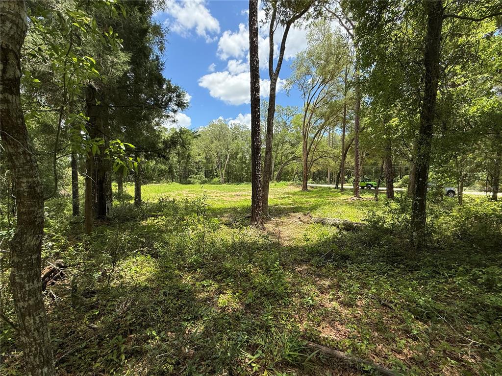 Southwest 53rd Place Ocala, FL 34481 - Photo 6 of 13