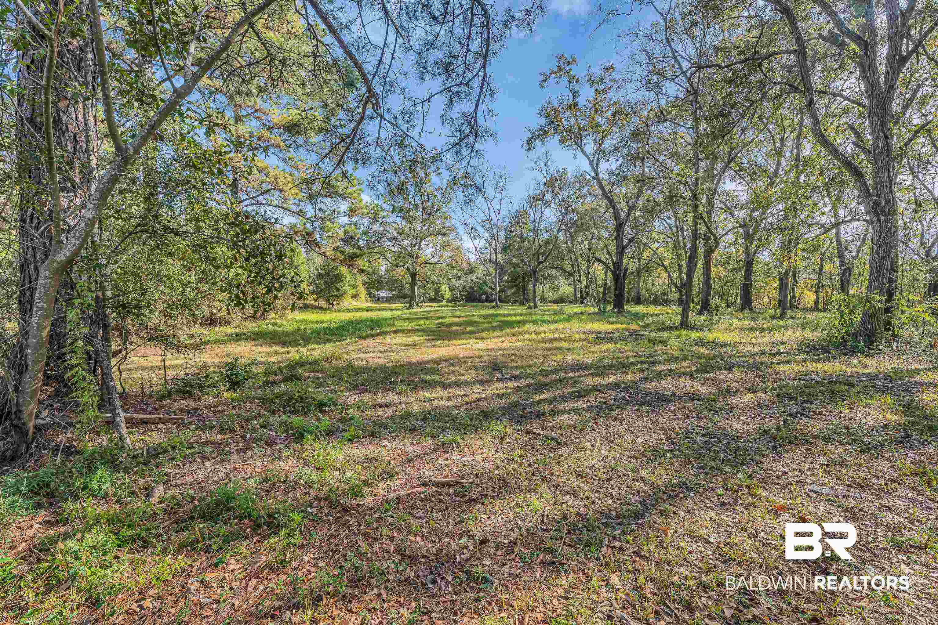 7787 Bellingrath Road Theodore, AL 36582 - Photo 7 of 36 View of yard with a forest view
