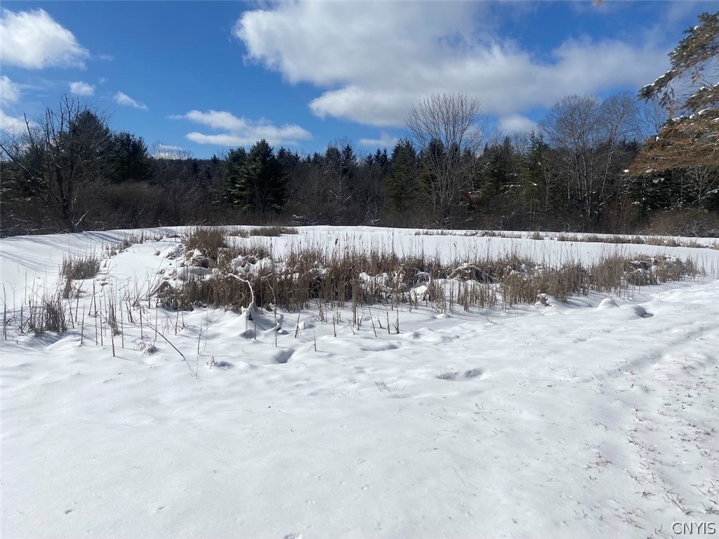 8567 West Hill Road Belfast, NY 14711 - Photo 20 of 42