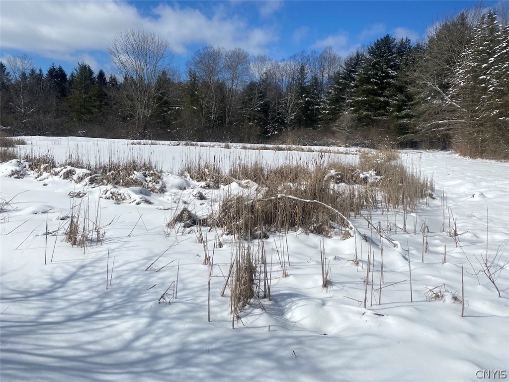 8567 West Hill Road Belfast, NY 14711 - Photo 21 of 42