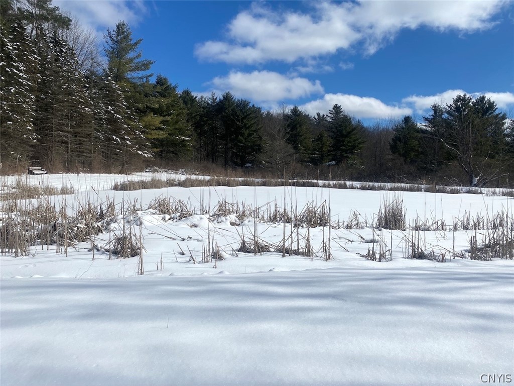 8567 West Hill Road Belfast, NY 14711 - Photo 22 of 42