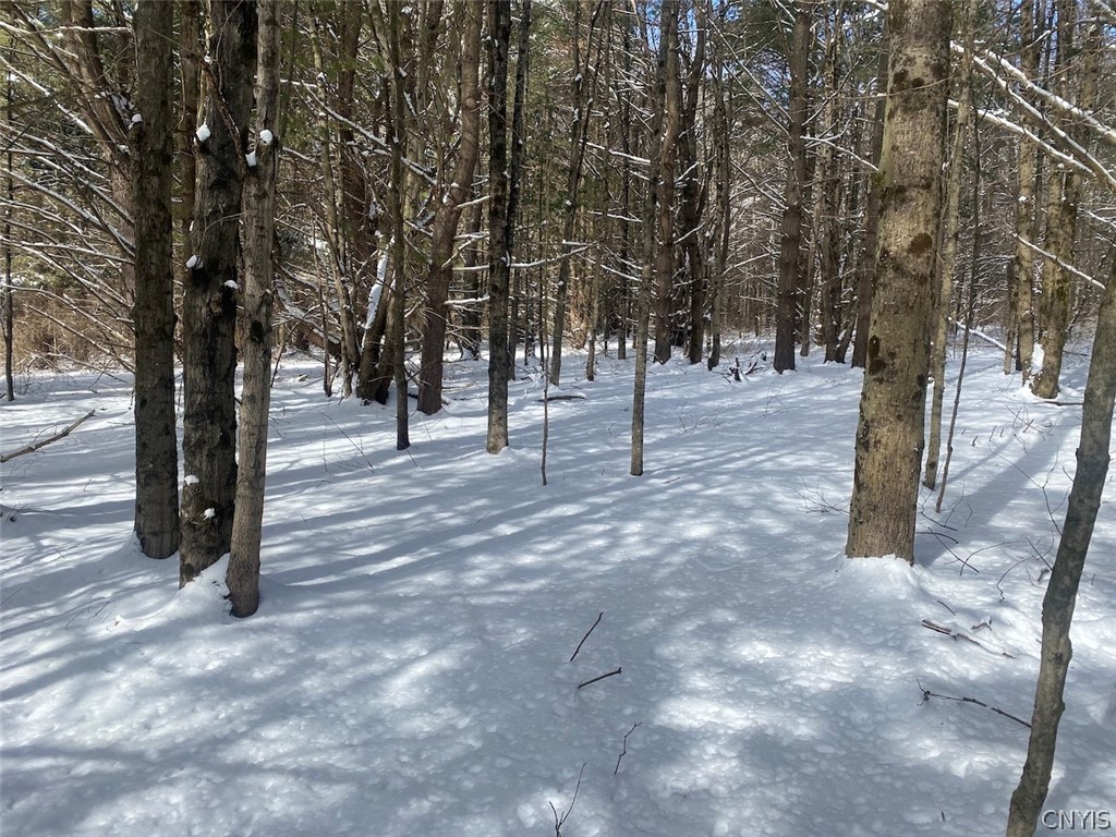 8567 West Hill Road Belfast, NY 14711 - Photo 23 of 42