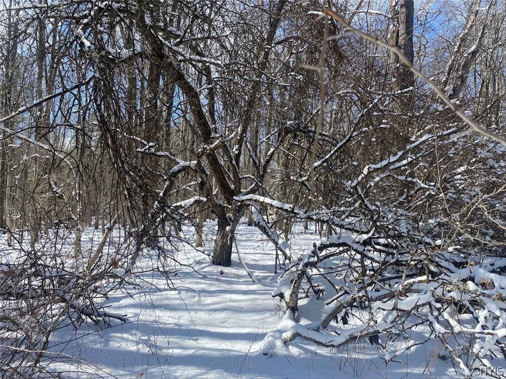 8567 West Hill Road Belfast, NY 14711 - Photo 25 of 42