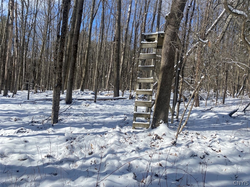 8567 West Hill Road Belfast, NY 14711 - Photo 26 of 42