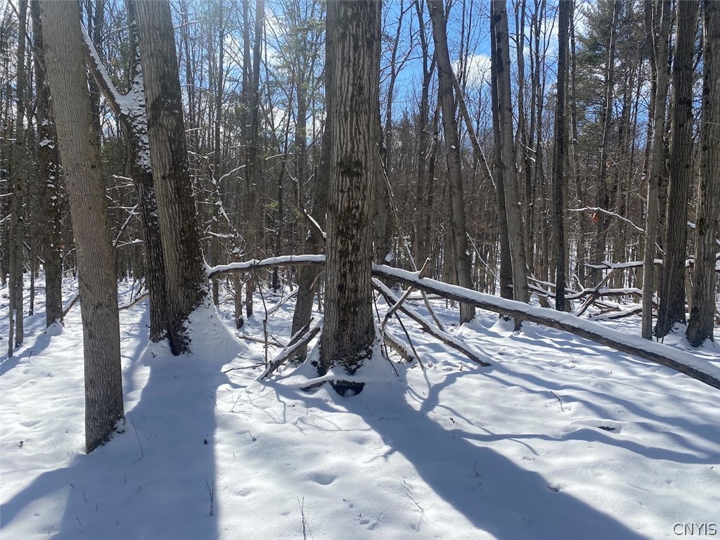 8567 West Hill Road Belfast, NY 14711 - Photo 27 of 42