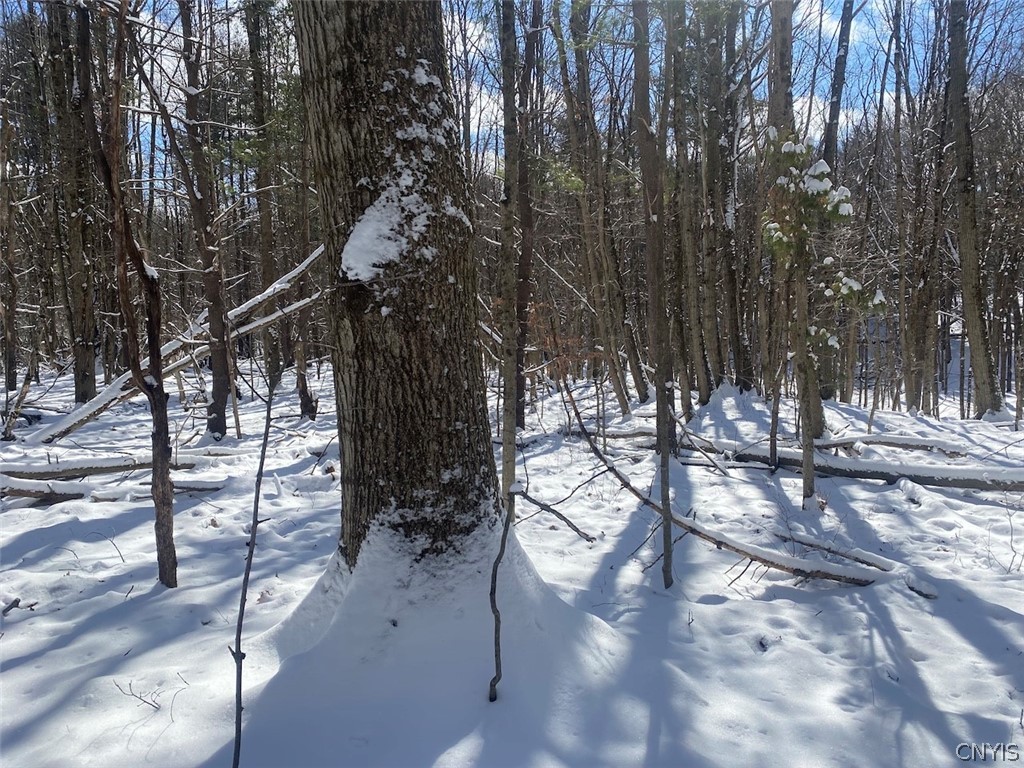 8567 West Hill Road Belfast, NY 14711 - Photo 28 of 42