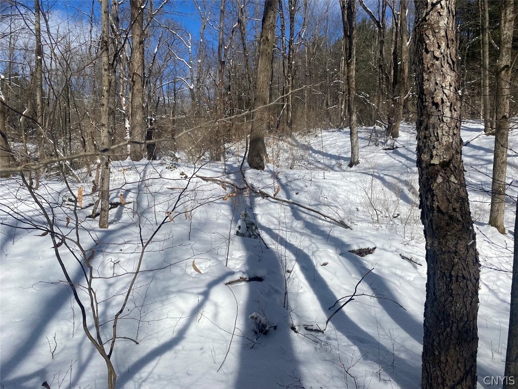 8567 West Hill Road Belfast, NY 14711 - Photo 30 of 42