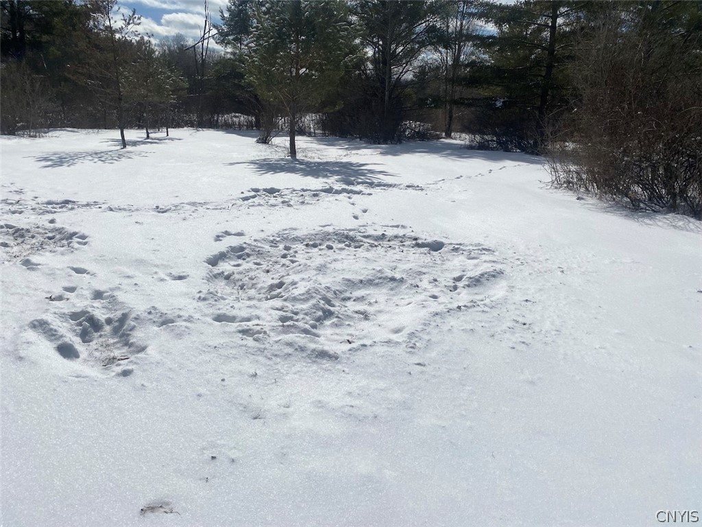 8567 West Hill Road Belfast, NY 14711 - Photo 31 of 42