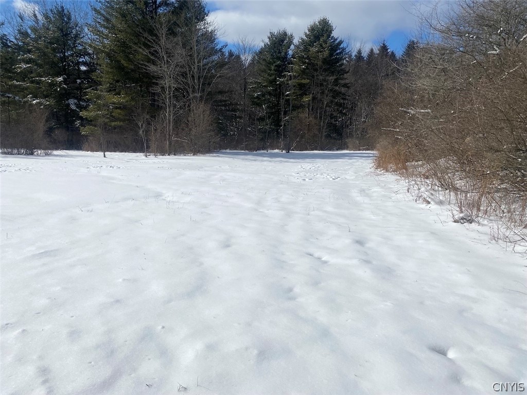 8567 West Hill Road Belfast, NY 14711 - Photo 32 of 42