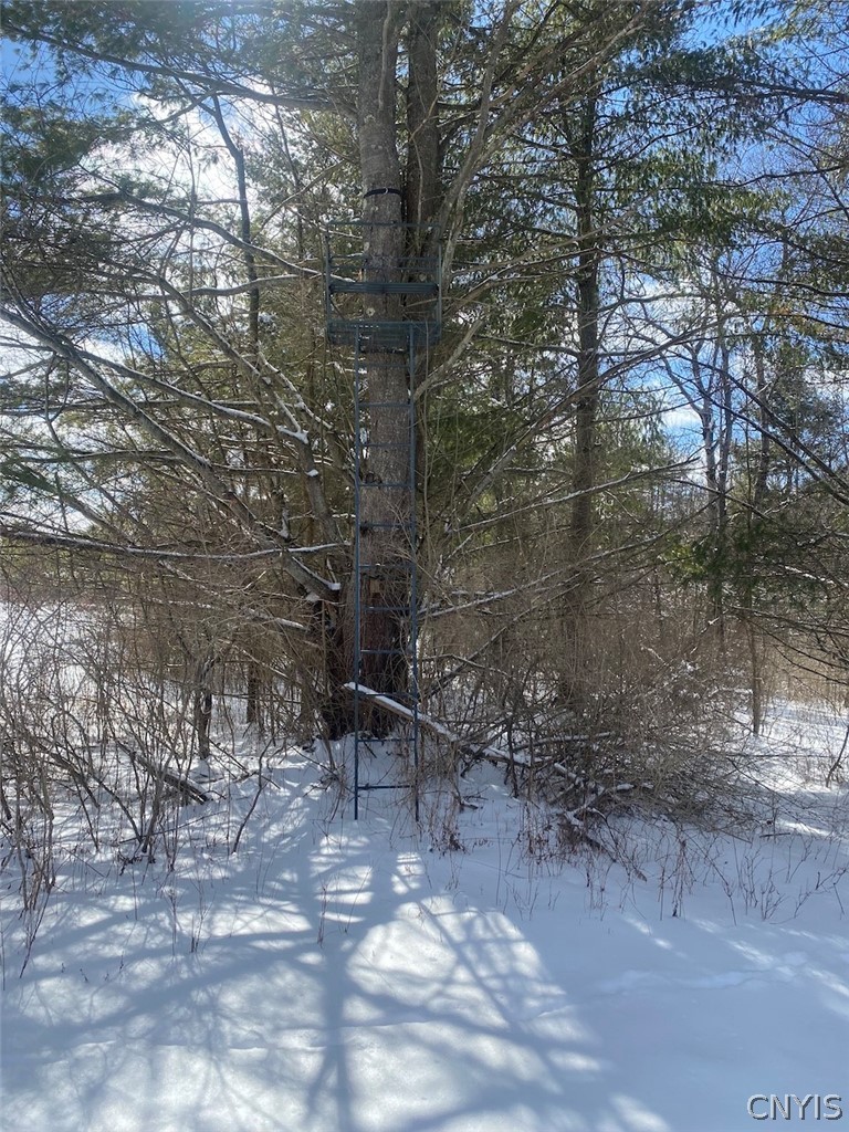 8567 West Hill Road Belfast, NY 14711 - Photo 33 of 42