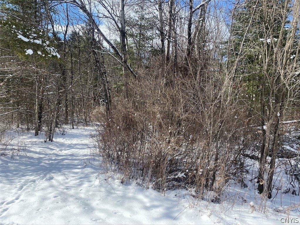 8567 West Hill Road Belfast, NY 14711 - Photo 34 of 42