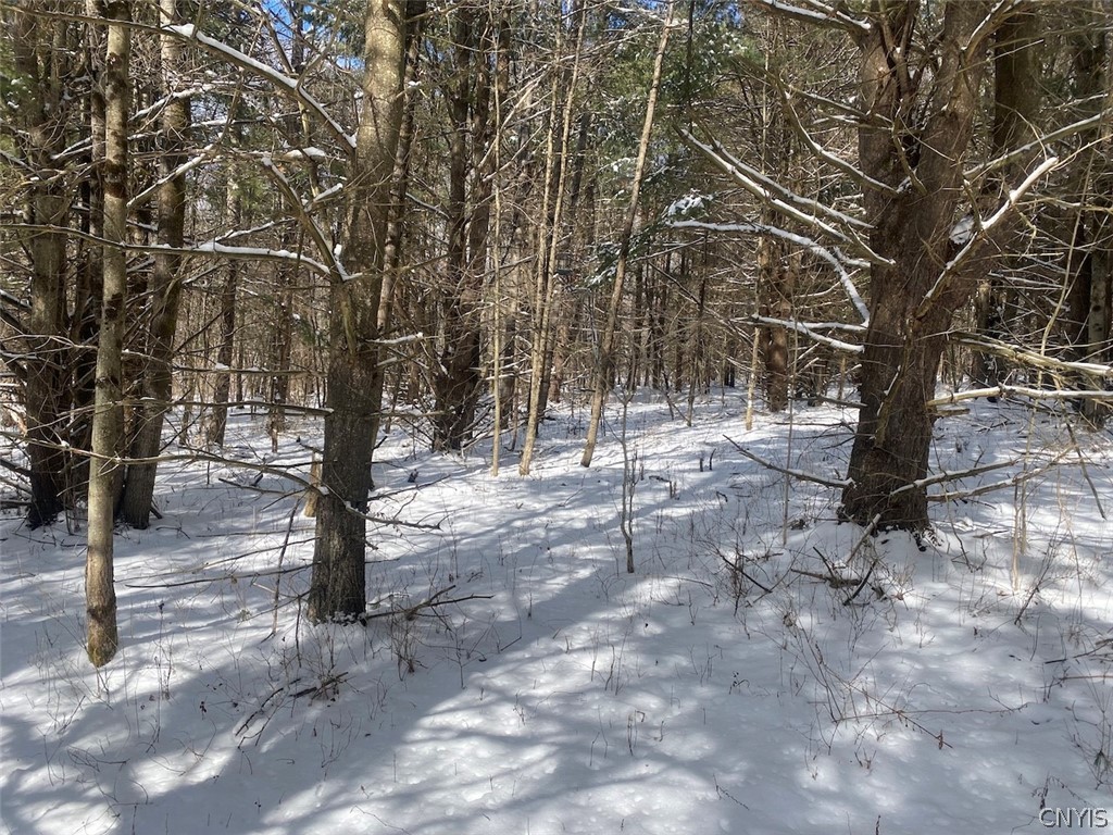 8567 West Hill Road Belfast, NY 14711 - Photo 35 of 42