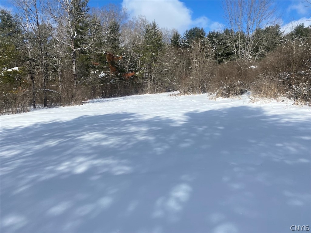 8567 West Hill Road Belfast, NY 14711 - Photo 36 of 42