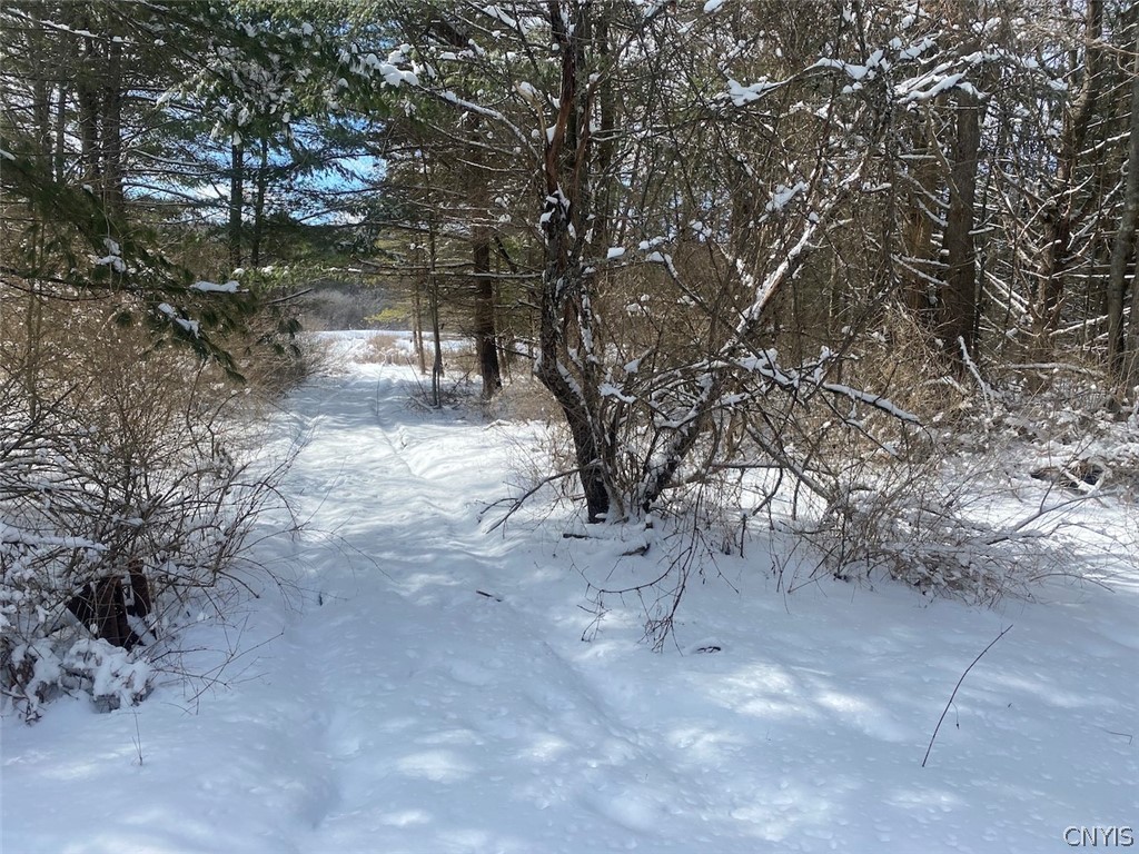 8567 West Hill Road Belfast, NY 14711 - Photo 37 of 42