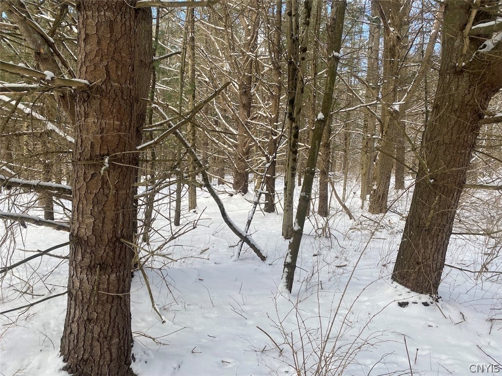 8567 West Hill Road Belfast, NY 14711 - Photo 38 of 42