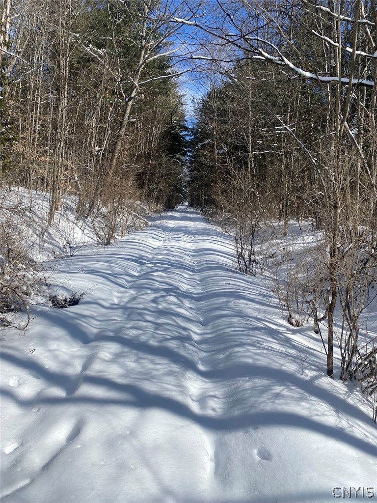 8567 West Hill Road Belfast, NY 14711 - Photo 39 of 42