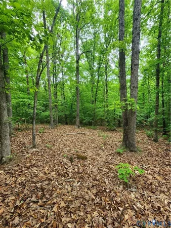 $97,500 | 0 Bryants Ford Road, Fork Union, VA 23055