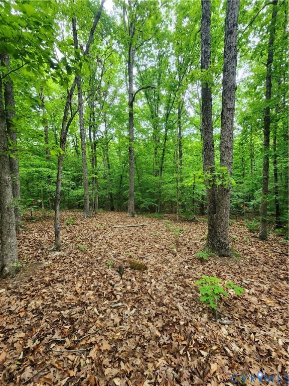 0 Bryants Ford Road Fork Union, VA 23055 - Photo 1 of 14 Hilltop view from the proposed homesite location.