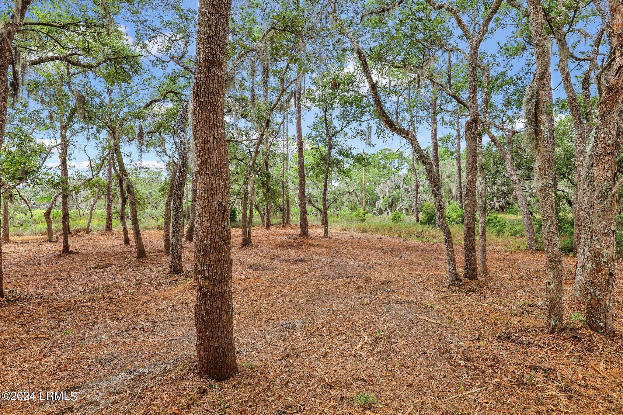 2222 Spanish Court Beaufort, SC 29902 - Photo 12 of 37 11-web-or-mls-IMG_0654