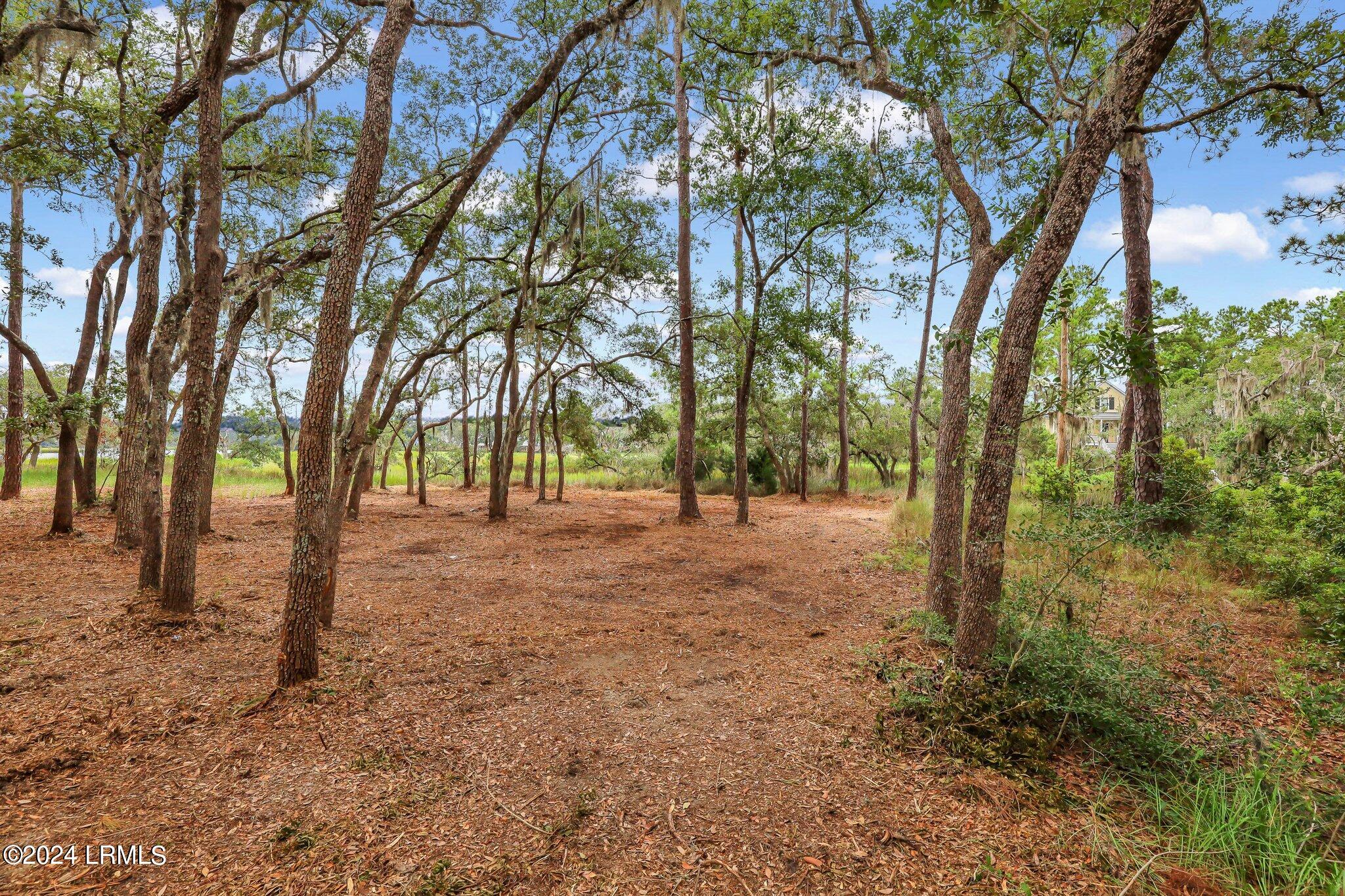 2222 Spanish Court Beaufort, SC 29902 - Photo 16 of 37 15-web-or-mls-IMG_0664