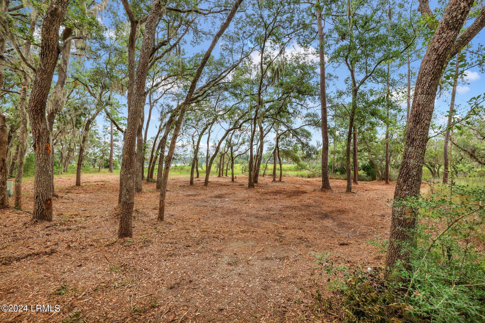 2222 Spanish Court Beaufort, SC 29902 - Photo 18 of 37 17-web-or-mls-IMG_0669
