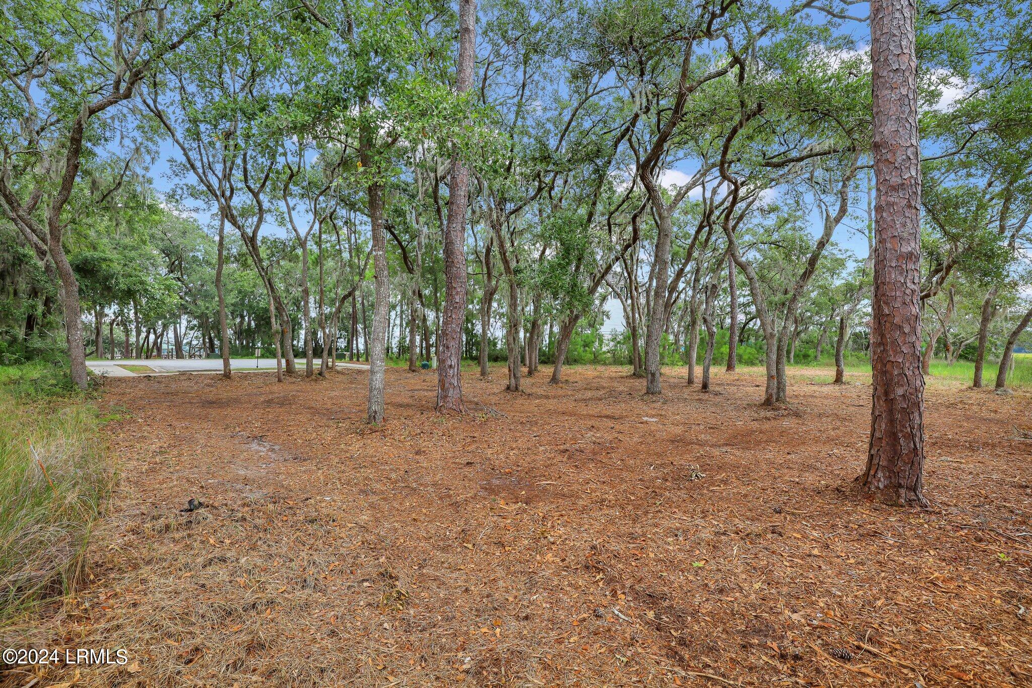 2222 Spanish Court Beaufort, SC 29902 - Photo 20 of 37 19-web-or-mls-IMG_0674