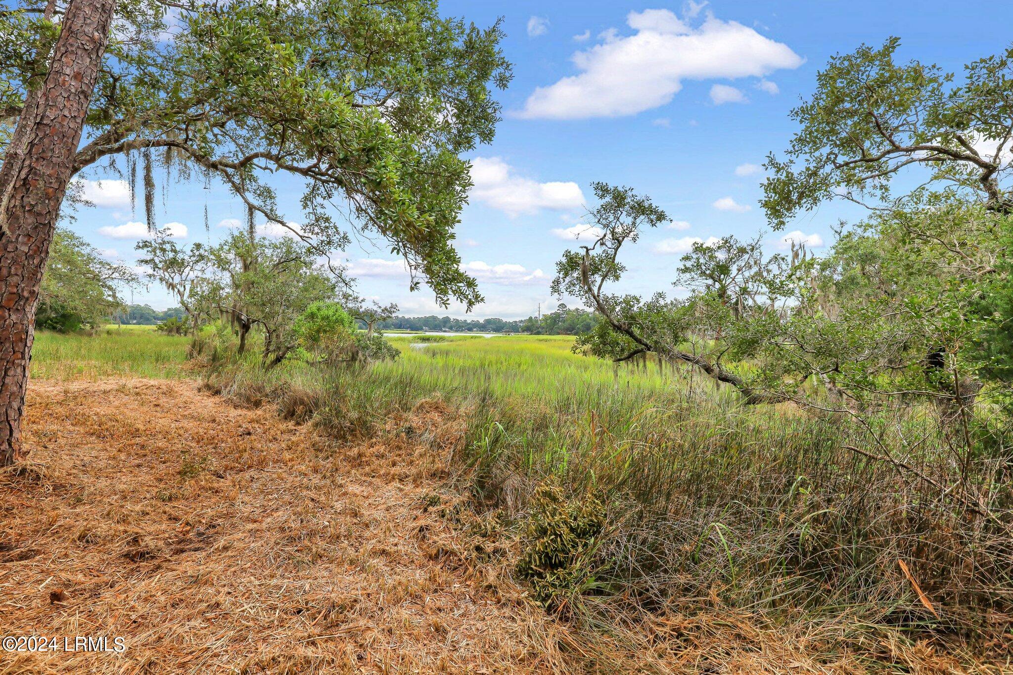 2222 Spanish Court Beaufort, SC 29902 - Photo 22 of 37 21-web-or-mls-IMG_0682