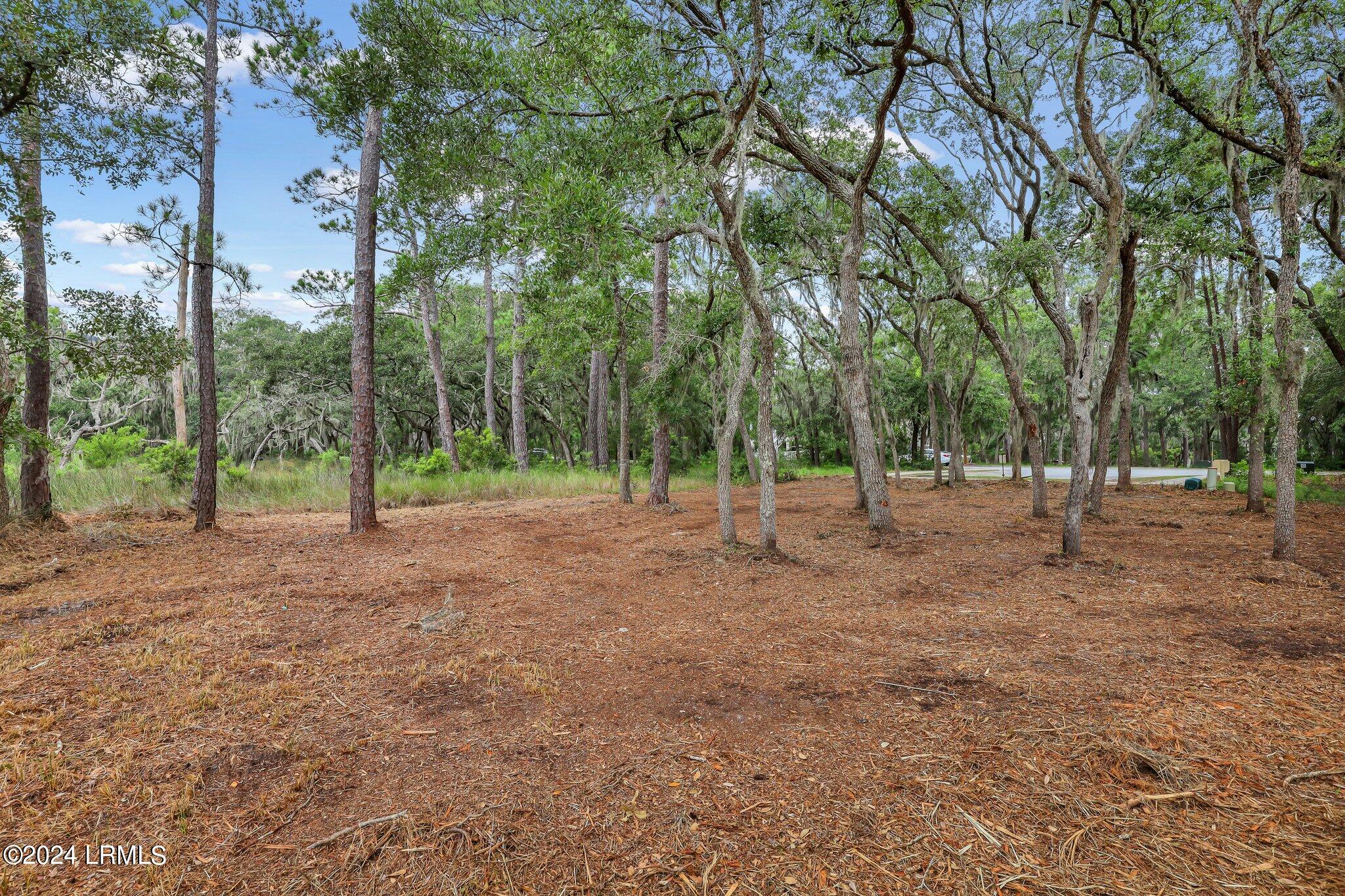 2222 Spanish Court Beaufort, SC 29902 - Photo 24 of 37 23-web-or-mls-IMG_0684