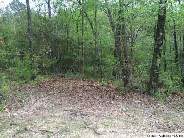 1346 Glass Place Morris, AL 35116 - Photo 16 of 18