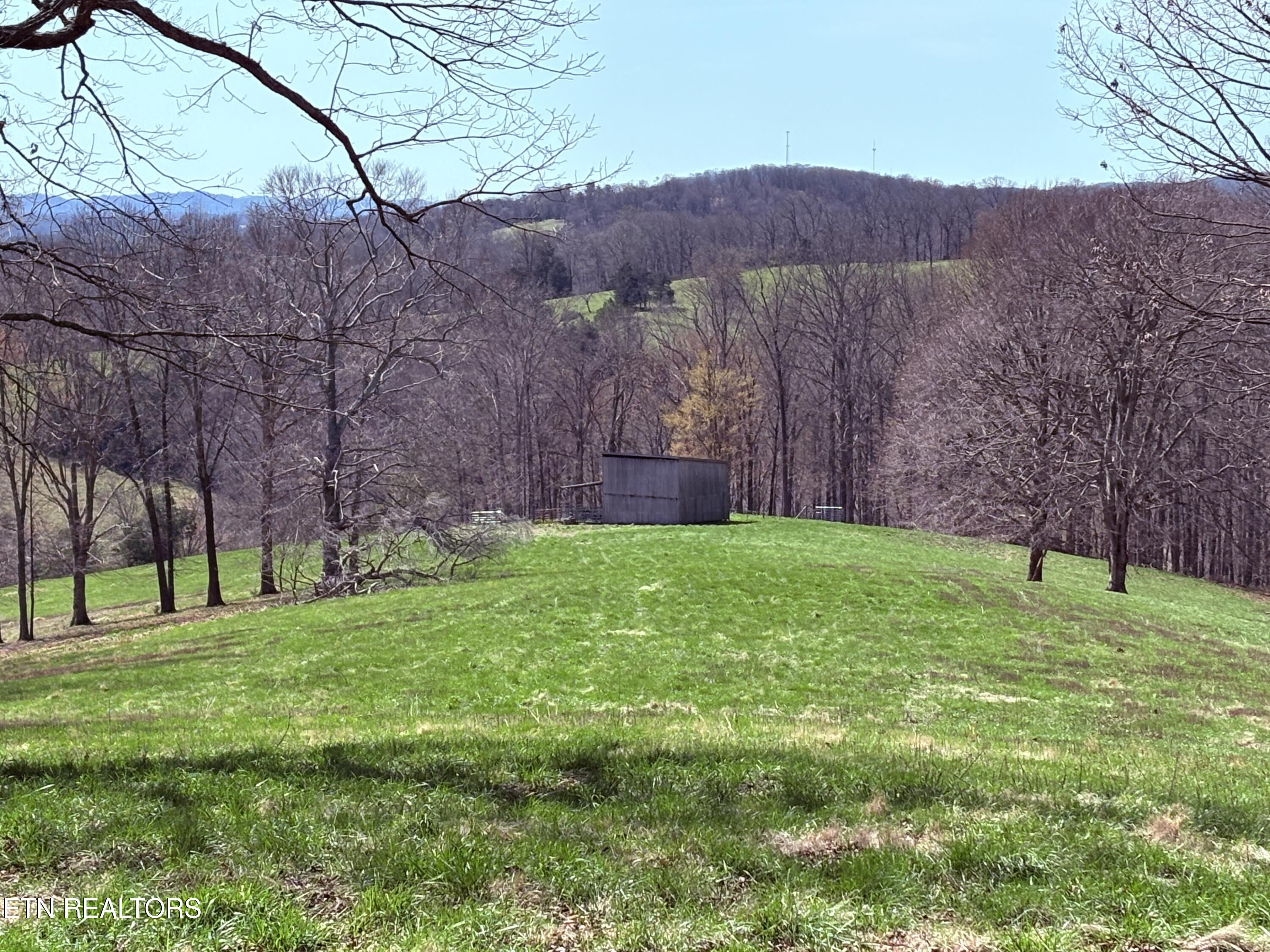 395 Wolfe Road Luttrell, TN 37779 - Photo 11 of 56 PASTURES