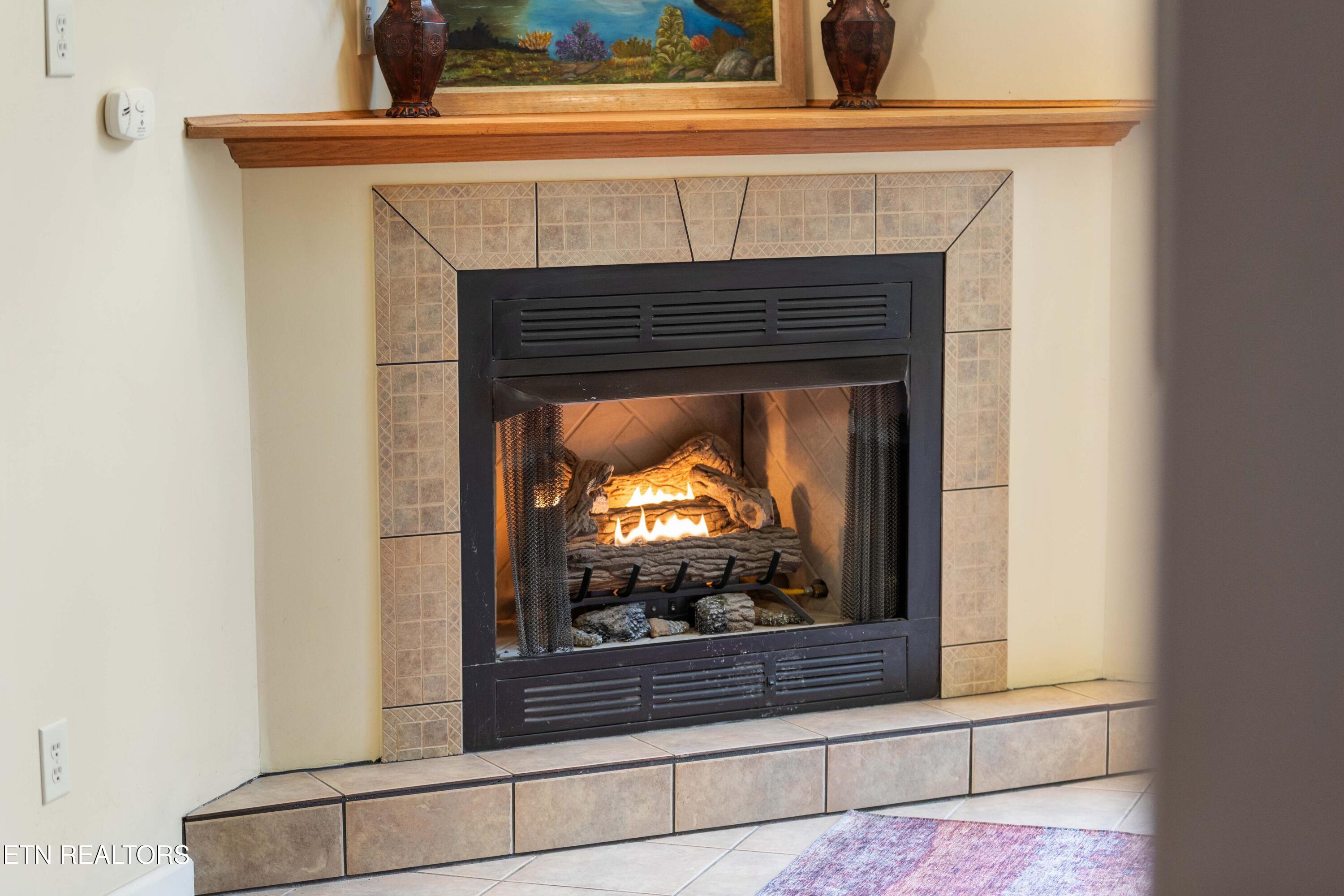 395 Wolfe Road Luttrell, TN 37779 - Photo 17 of 59 030A2867