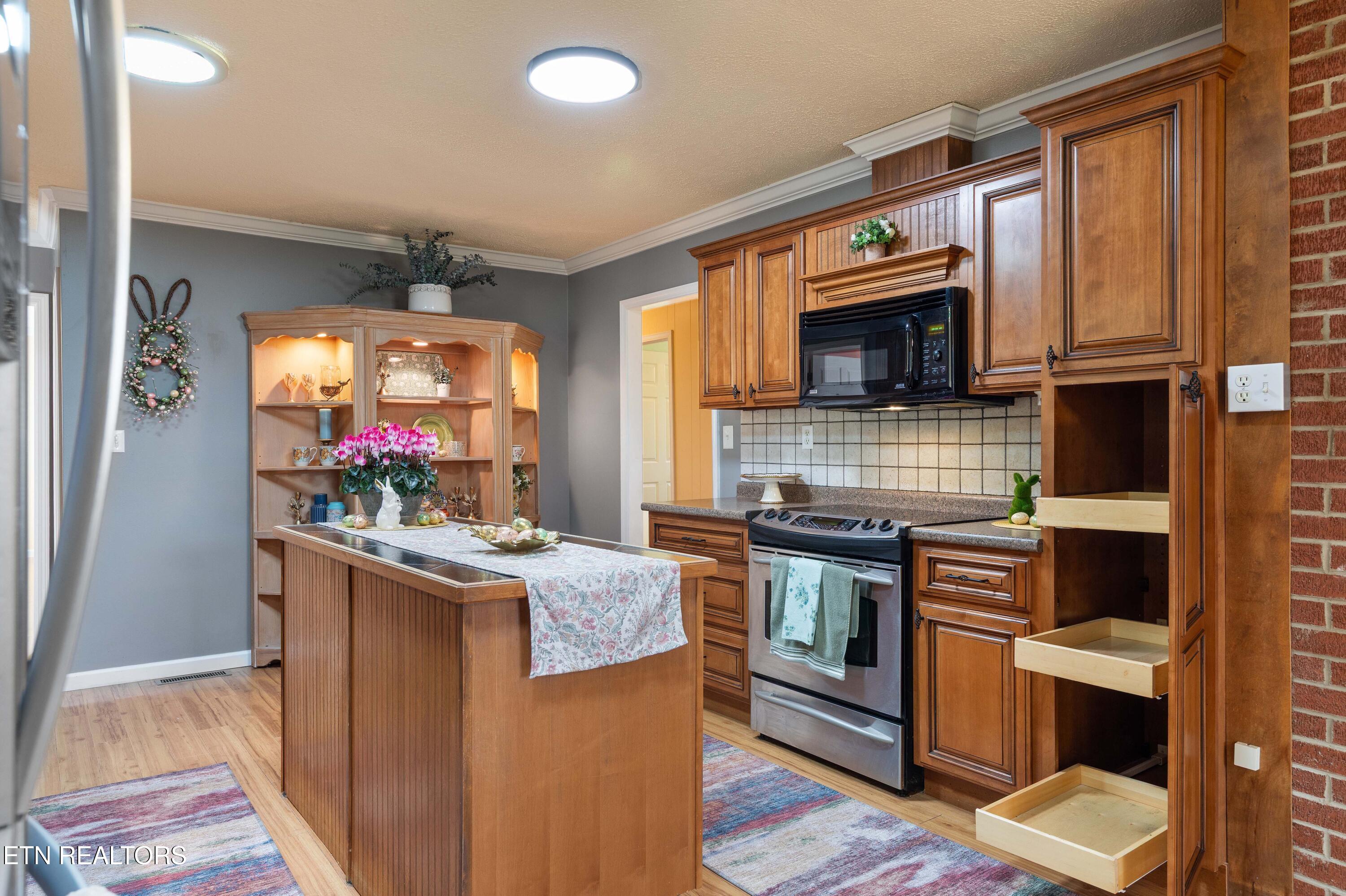 395 Wolfe Road Luttrell, TN 37779 - Photo 21 of 56 KITCHEN PULLOUTS