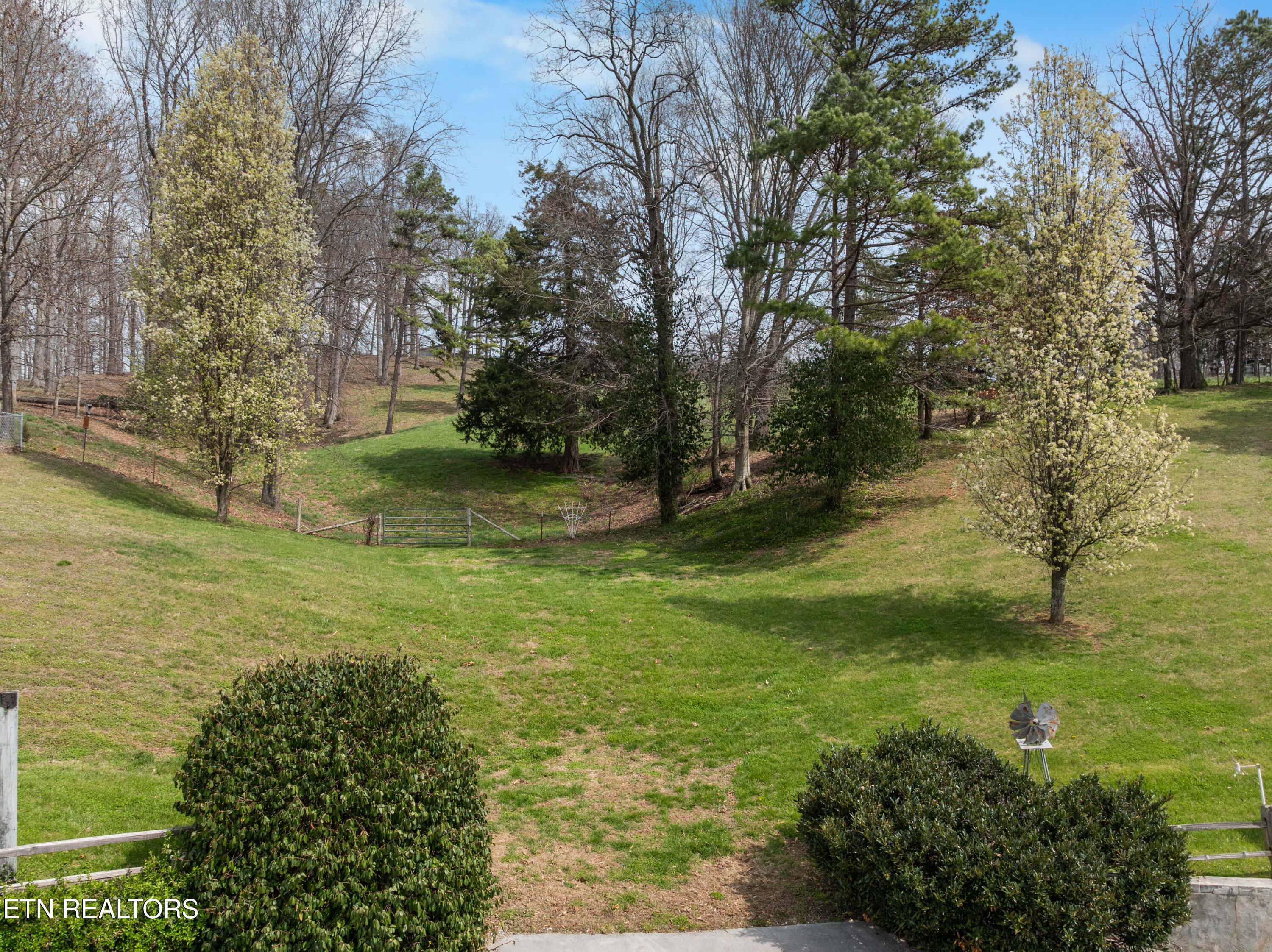 395 Wolfe Road Luttrell, TN 37779 - Photo 40 of 59 DJI_0972