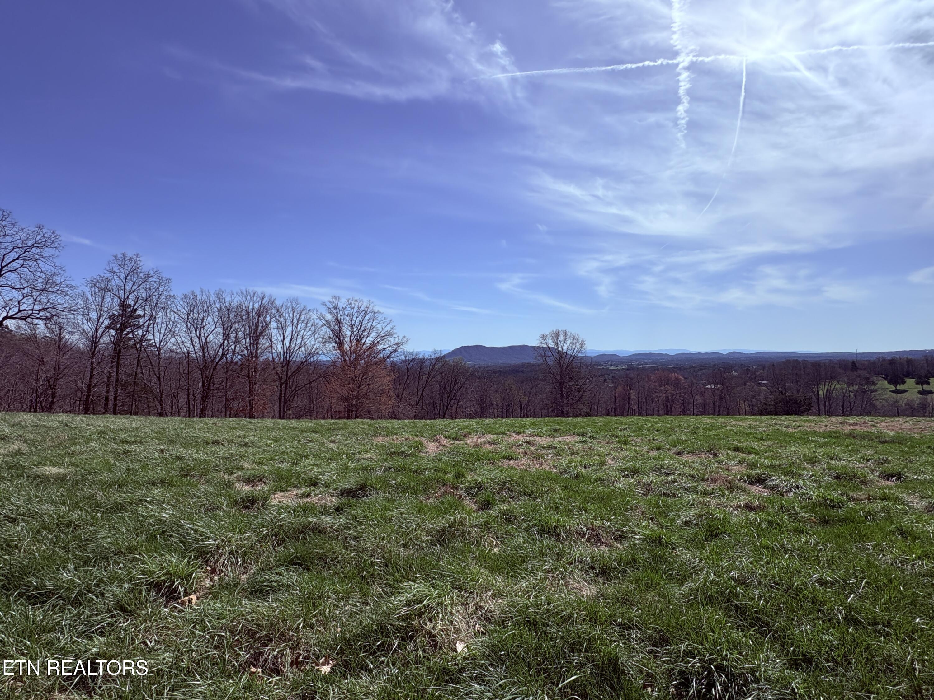 395 Wolfe Road Luttrell, TN 37779 - Photo 47 of 59 PASTURES