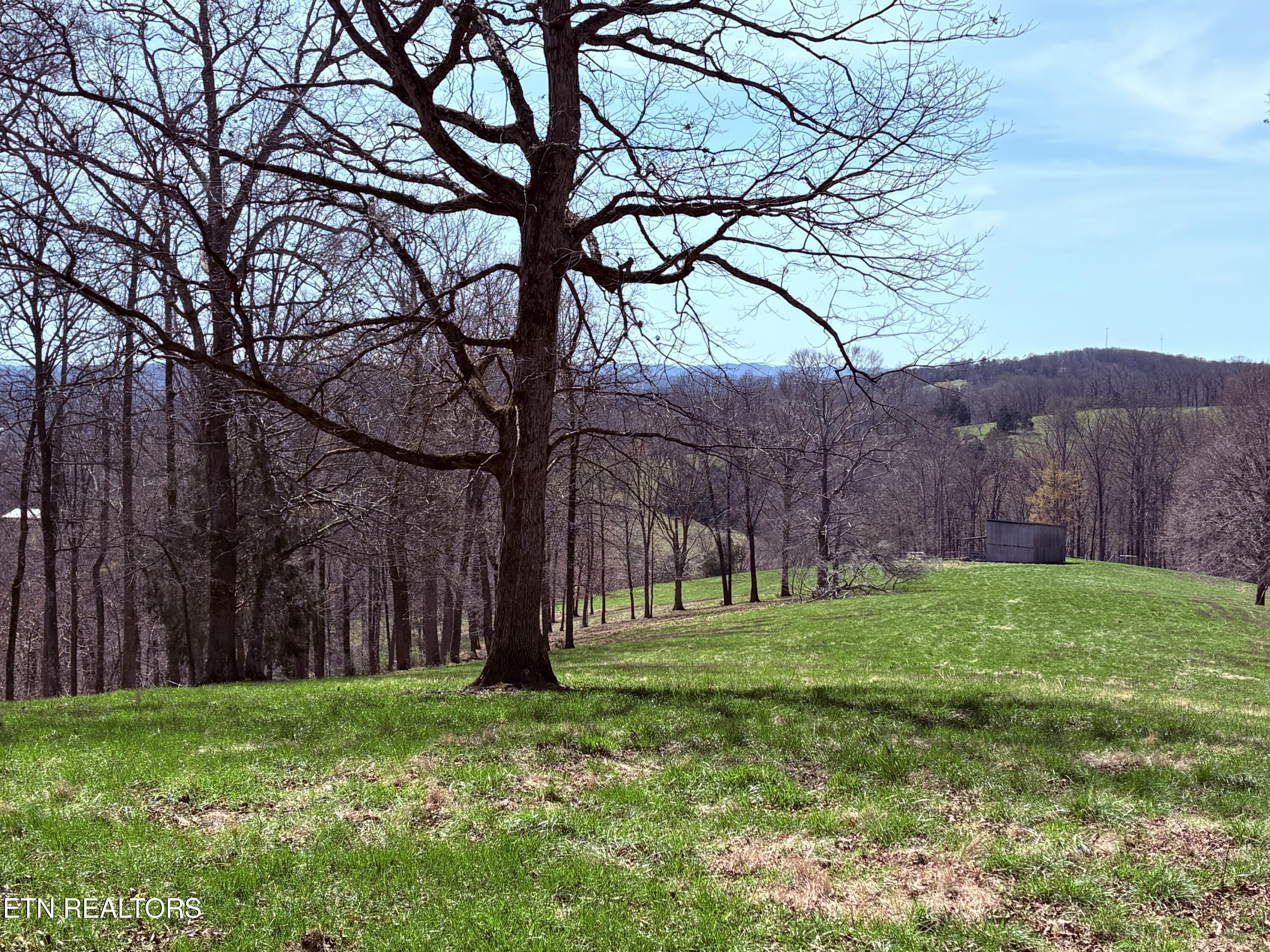 395 Wolfe Road Luttrell, TN 37779 - Photo 50 of 59 PASTURES