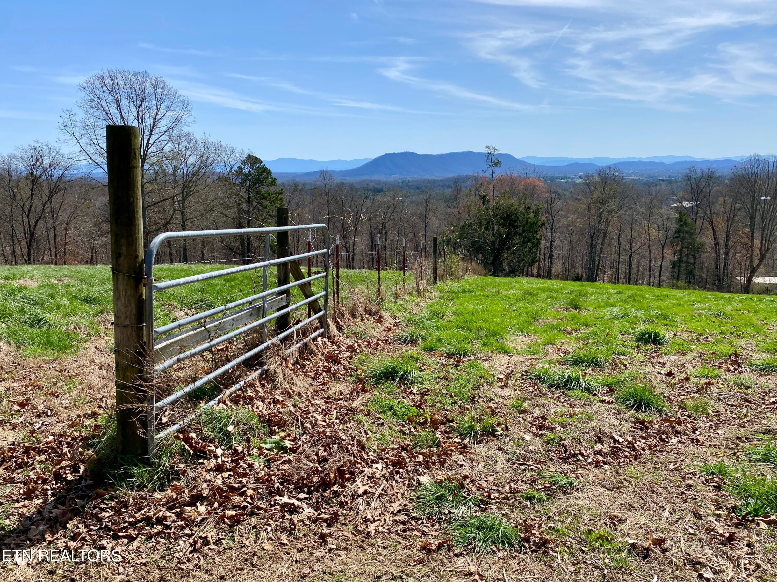 395 Wolfe Road Luttrell, TN 37779 - Photo 51 of 59 CROSS FENCING