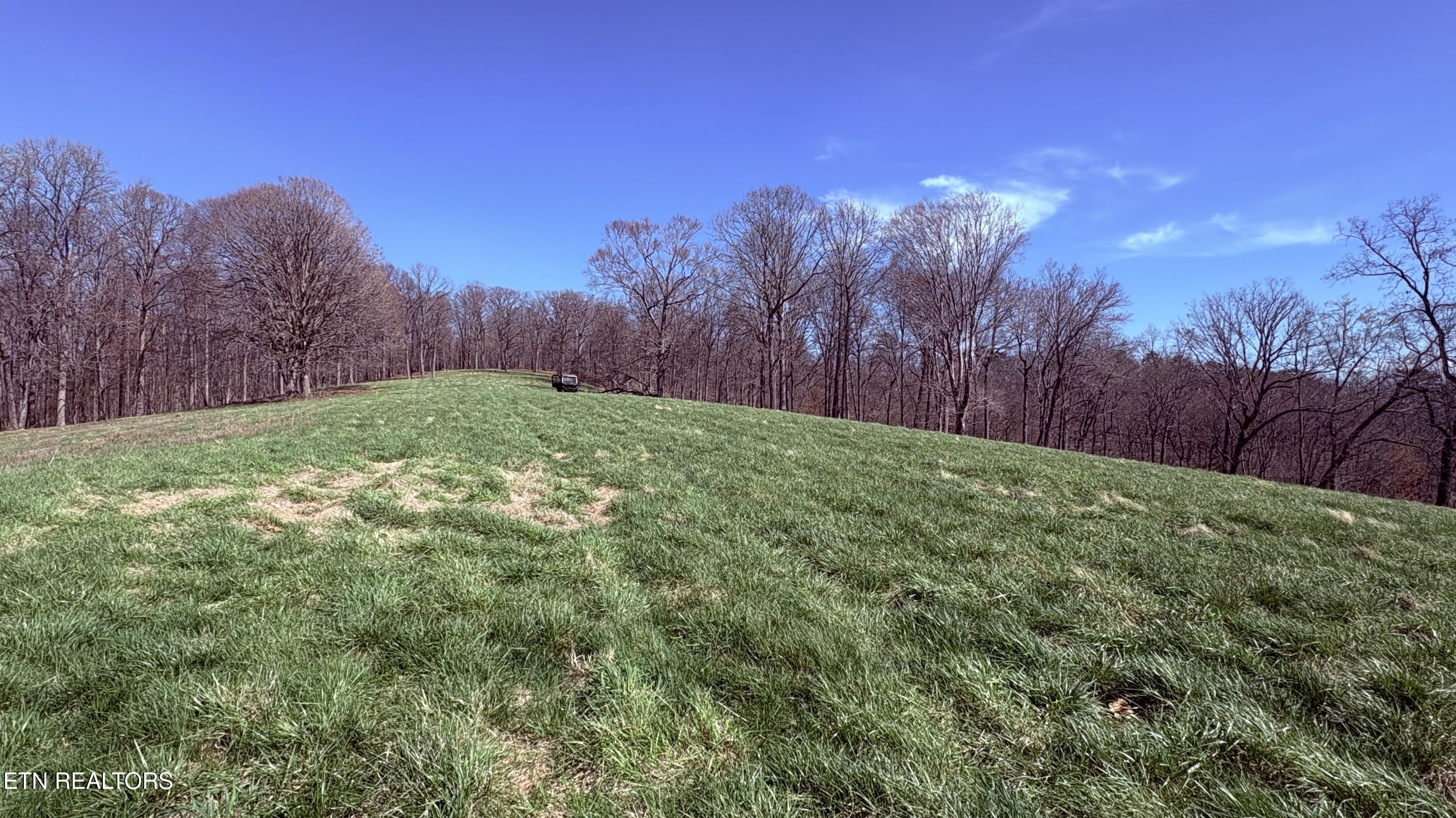 395 Wolfe Road Luttrell, TN 37779 - Photo 9 of 56 PASTURES