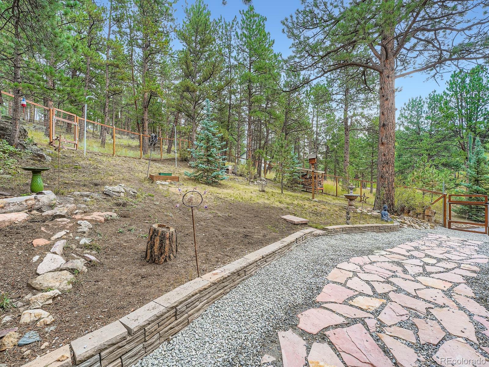 425 Patty Drive Evergreen, CO 80439 - Photo 28 of 43 a view of a yard with trees