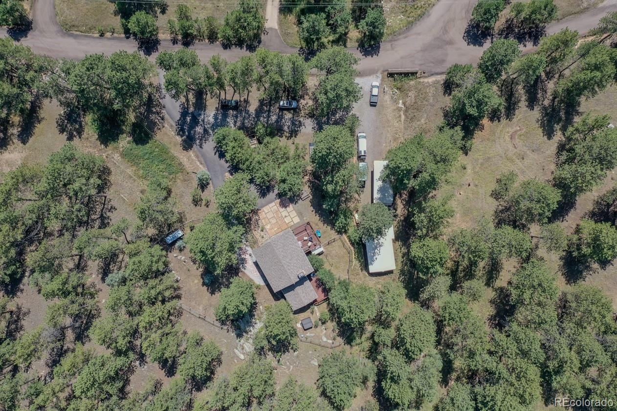 425 Patty Drive Evergreen, CO 80439 - Photo 38 of 43 an aerial view of residential house with outdoor space and trees all around