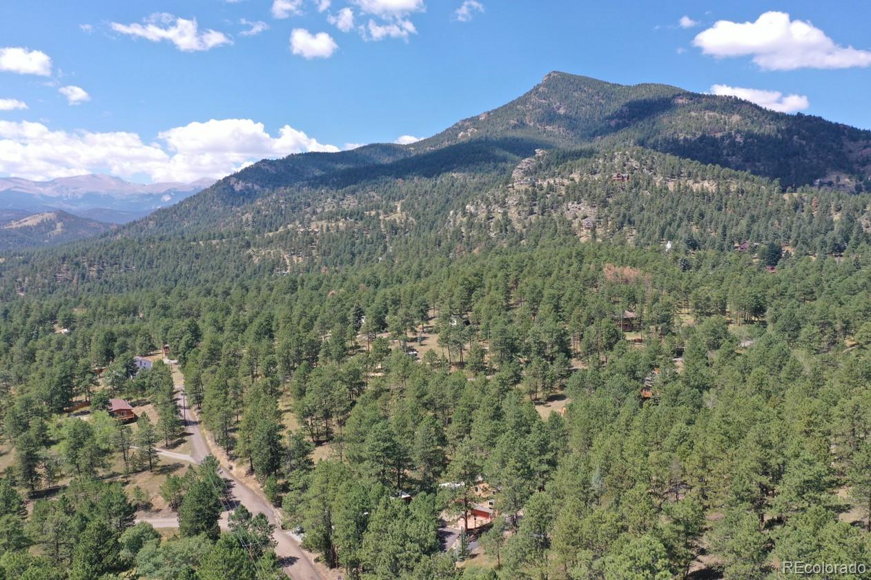 425 Patty Drive Evergreen, CO 80439 - Photo 39 of 43 a view of a lush green hillside and a houses